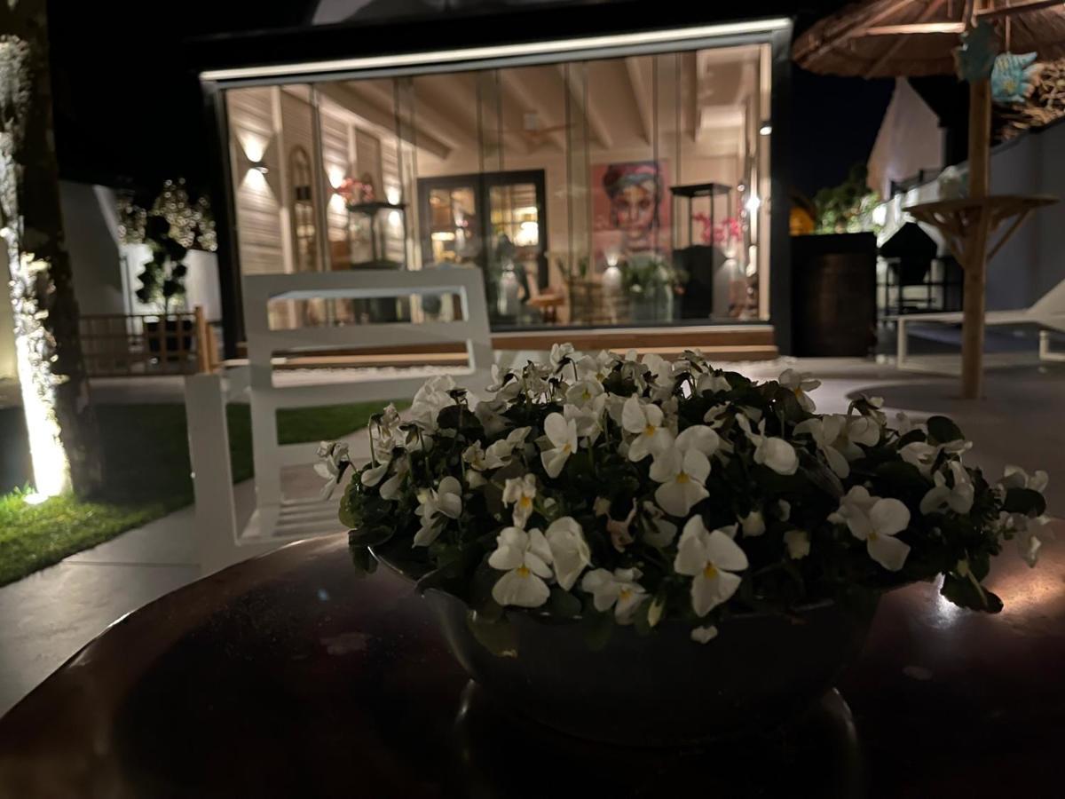 B&B Bubbles&Bites Oostvoorne Zewnętrze zdjęcie